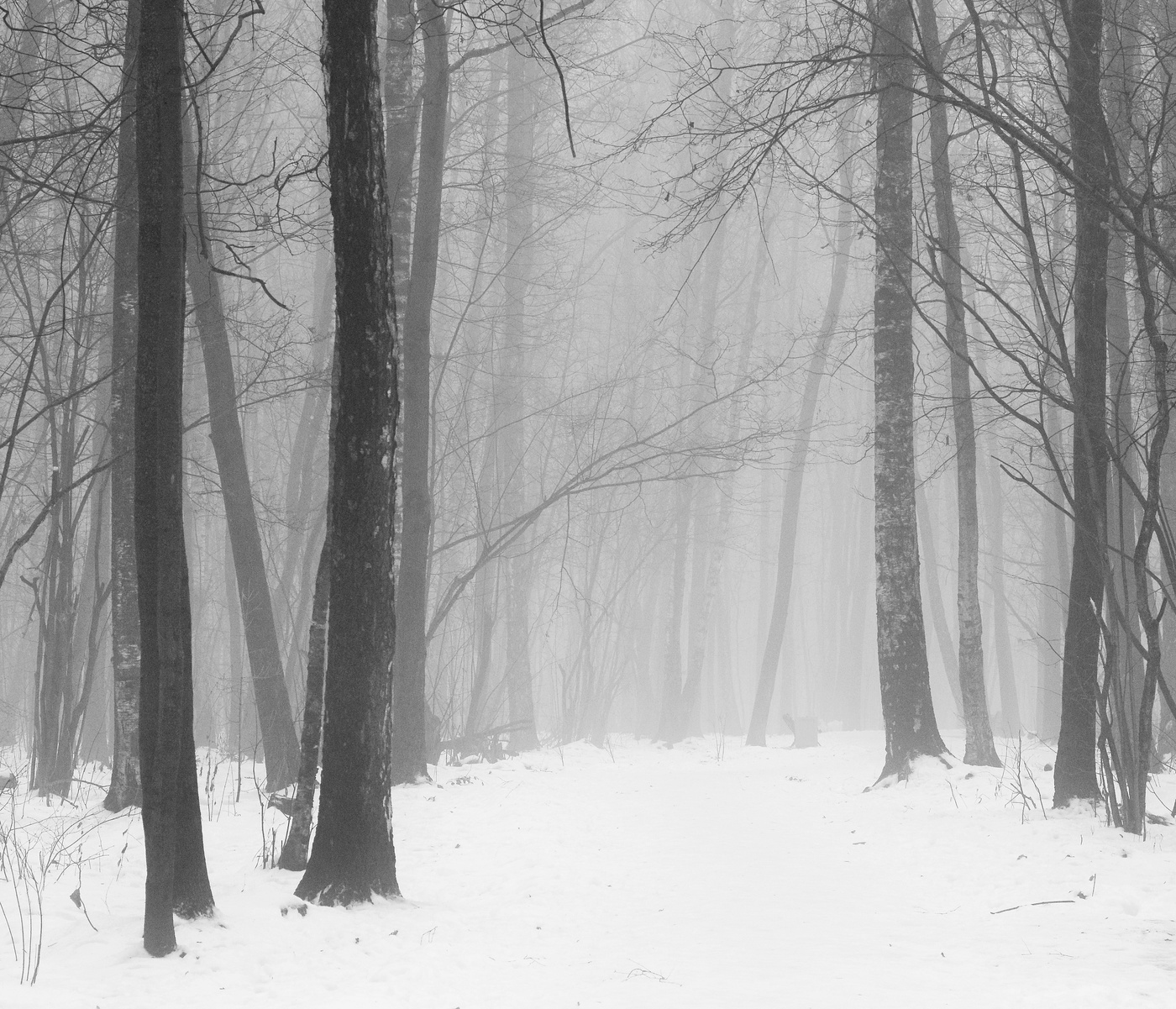 Утро было туманным и молчаливым ...