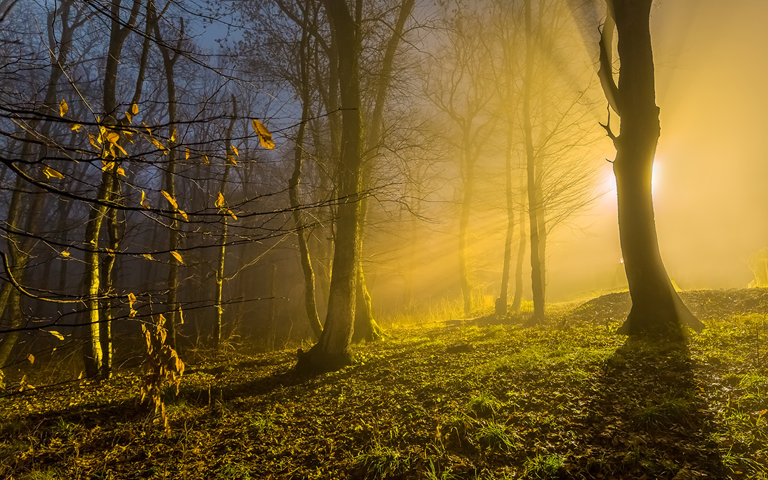 И отступит тьма