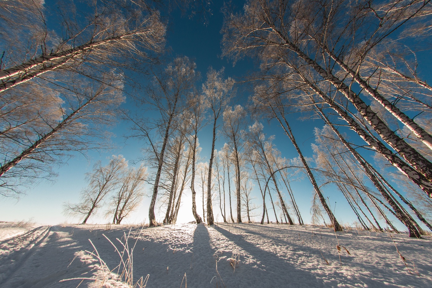 Окрестности Новобелокатая