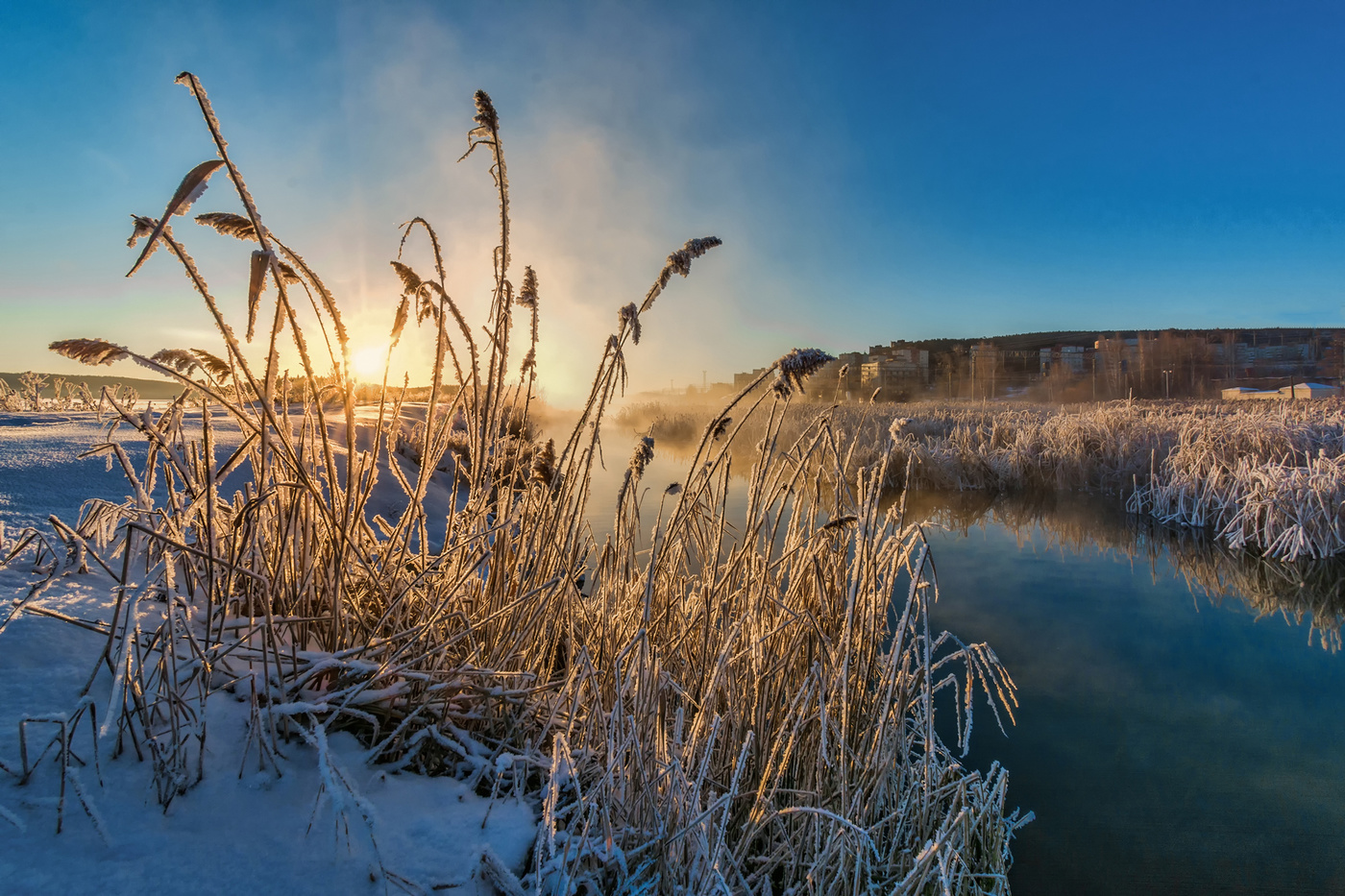 Утренний свет