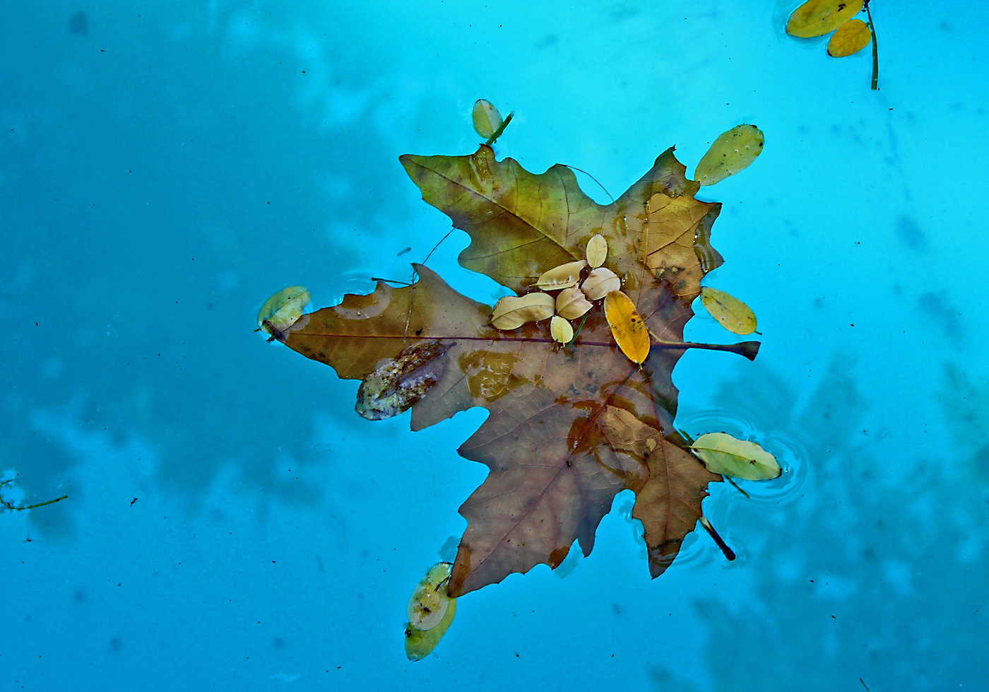 Там, в этой синей глубине никто не вспомнит обо мне...