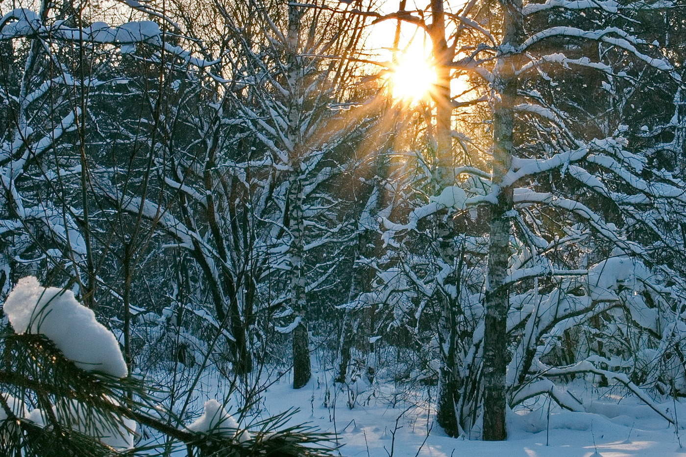 *ЗИМНЕЕ СОЛНЫШКО**