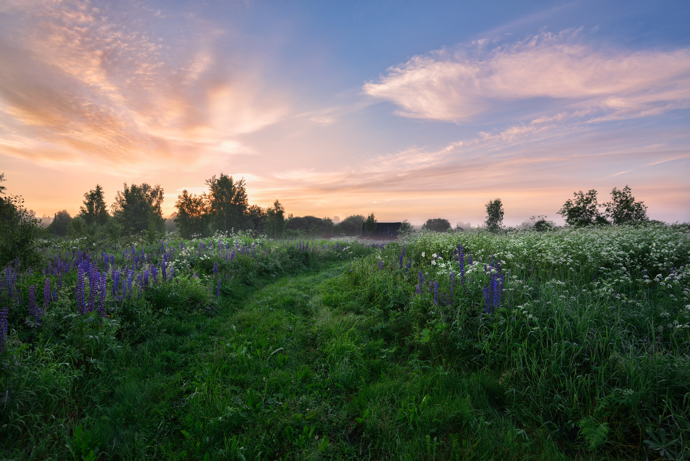 летнее утро