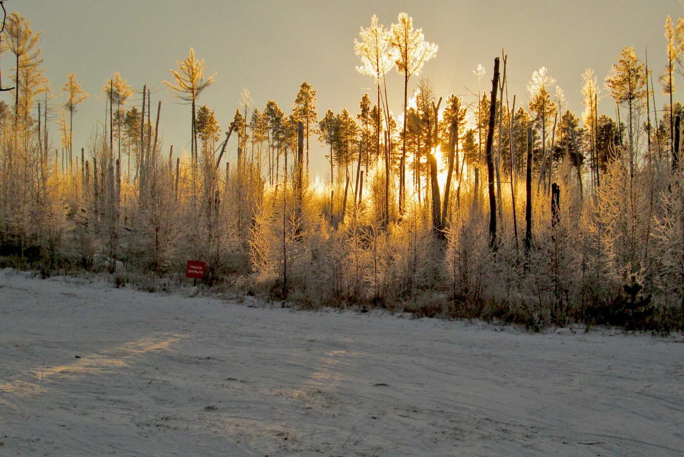 День пришел!