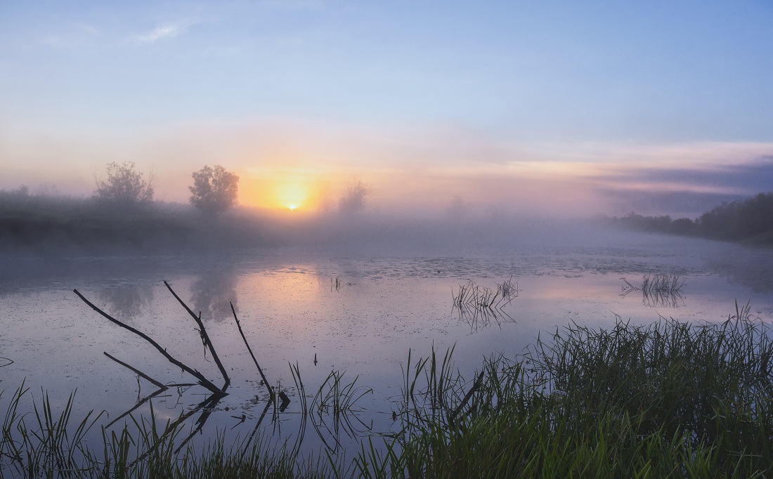 Летним утром.