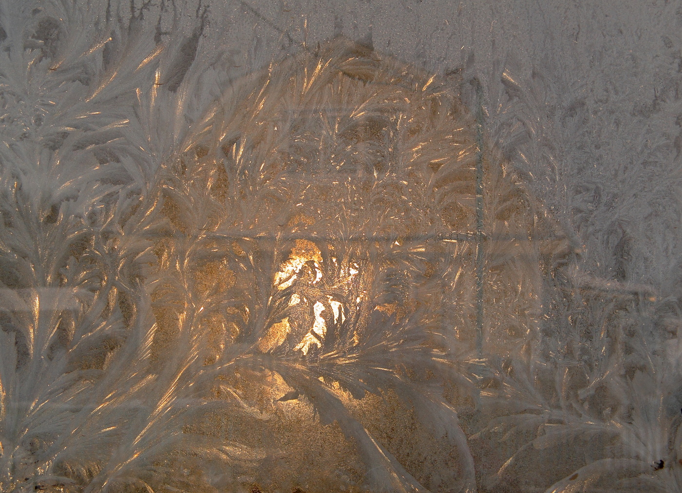 Чудеса Мороза