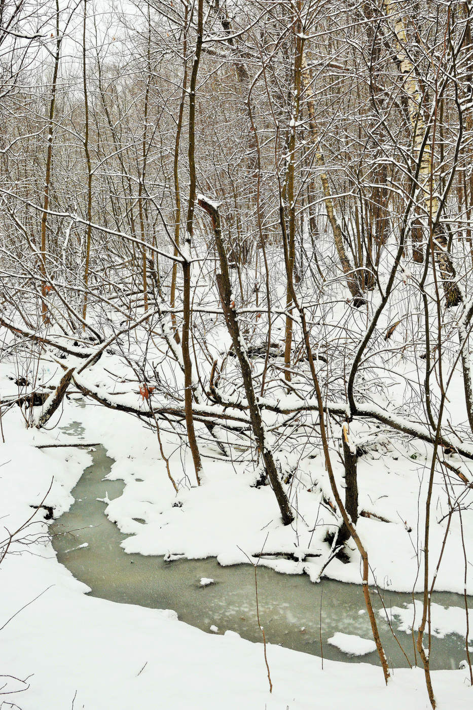 Замерзший ручей ...