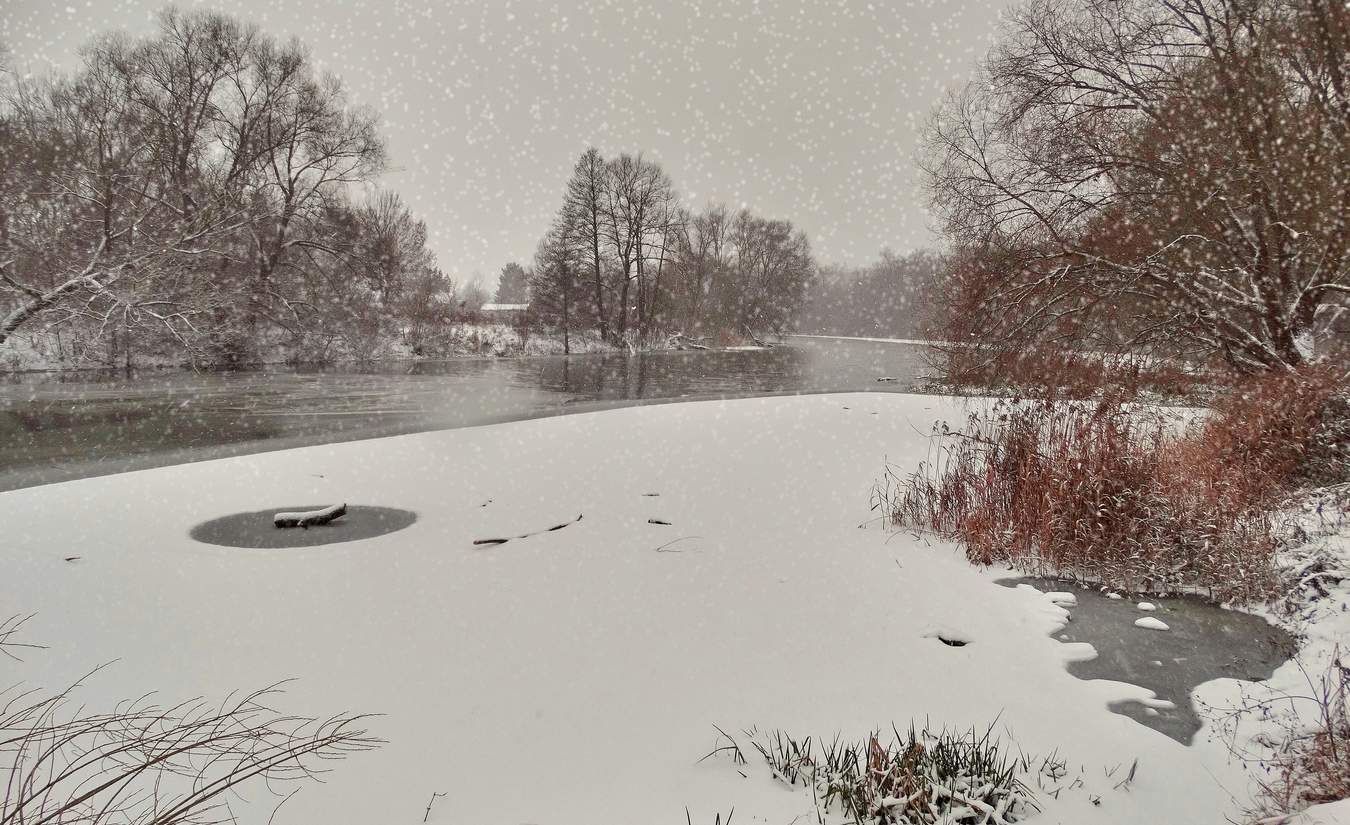 Мокрая пятница