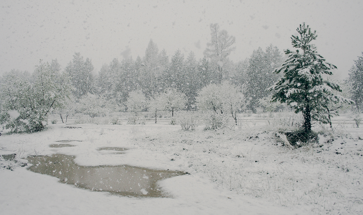 Такого снегопада...