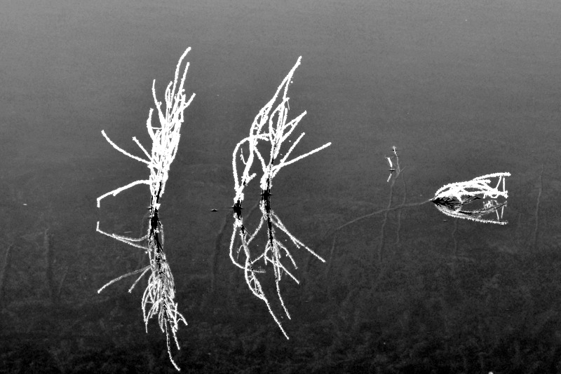 Мокрая пятница