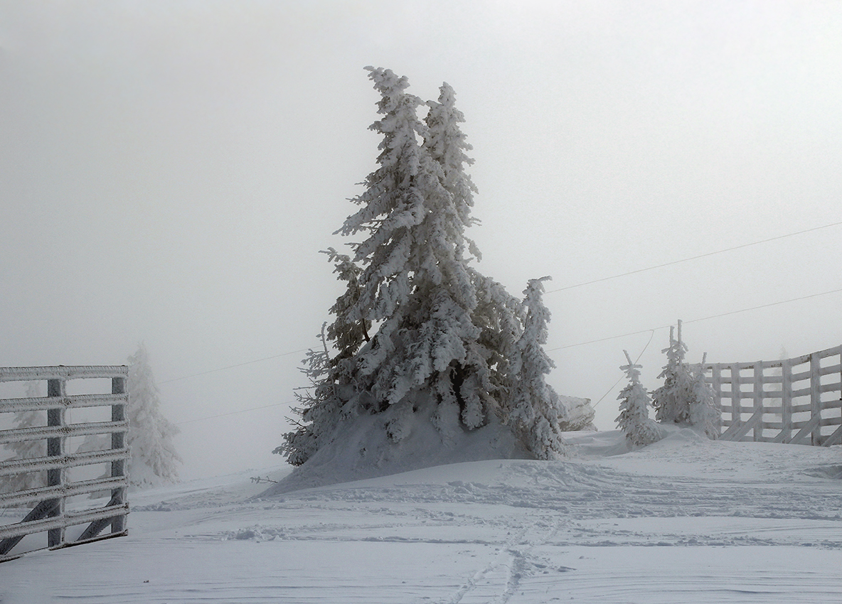 Зимний денек...