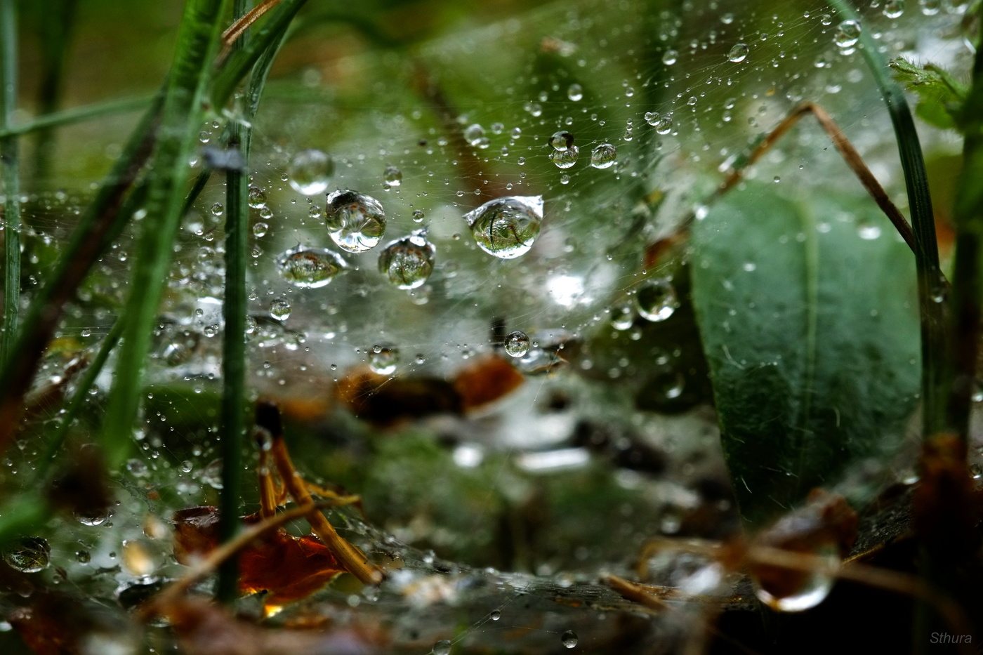 Мокрая пятница