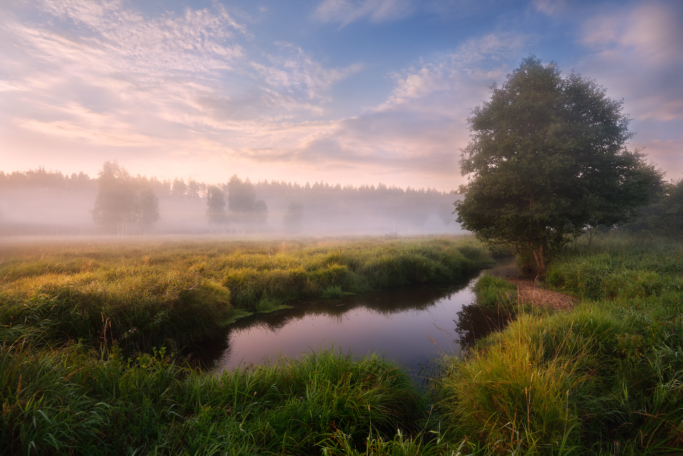туманное утро