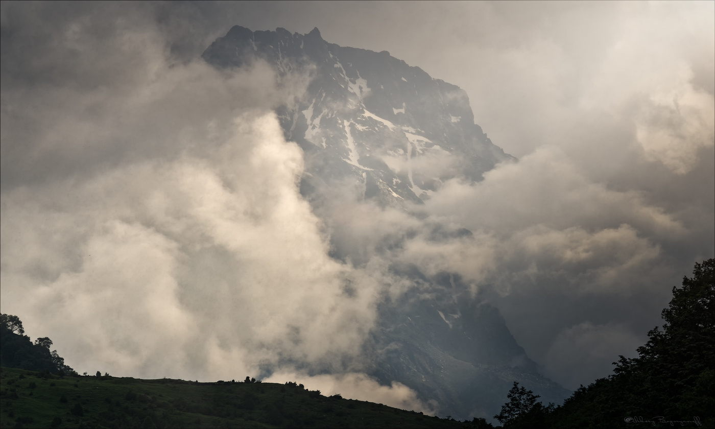 Приоткрылось.