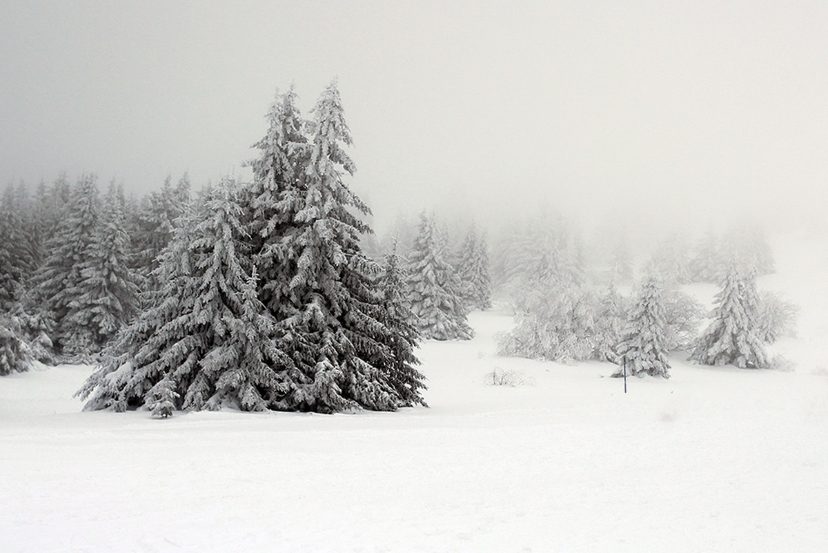 Замело, завьюжило...