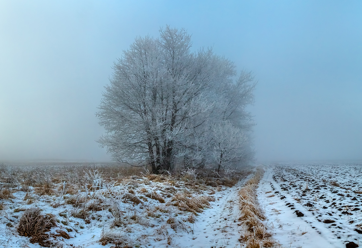 Зимняя акварель тумана