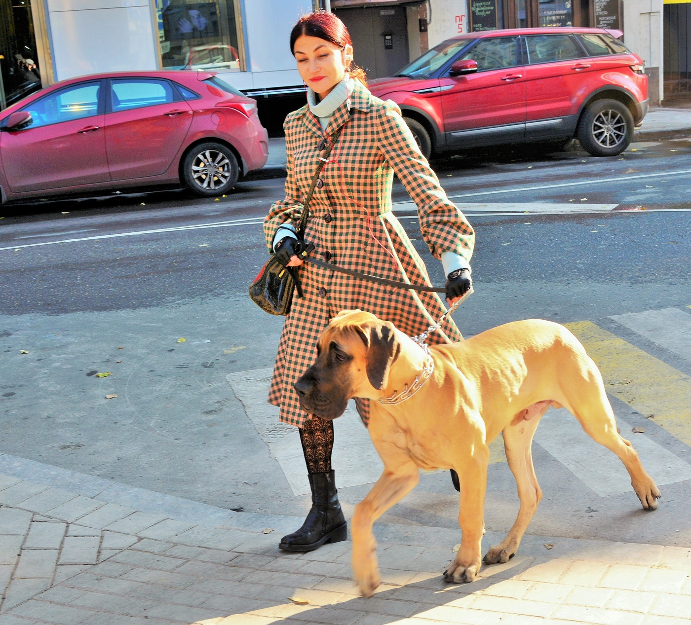 "Вместе весело шагать ..."