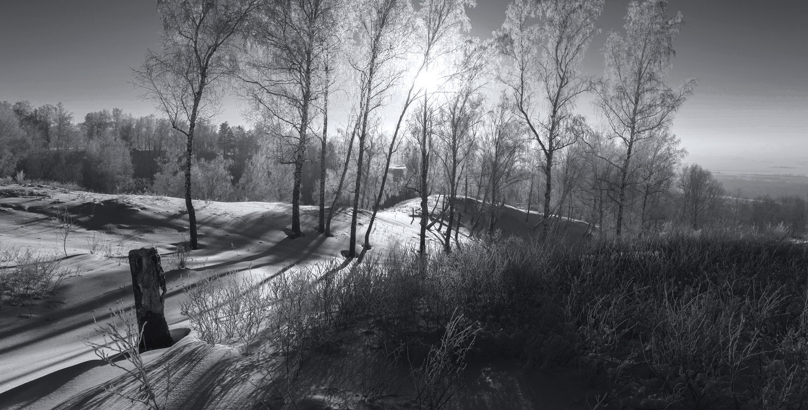 Черно- белая зима.