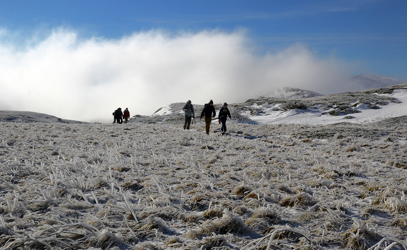 На верхнем плато