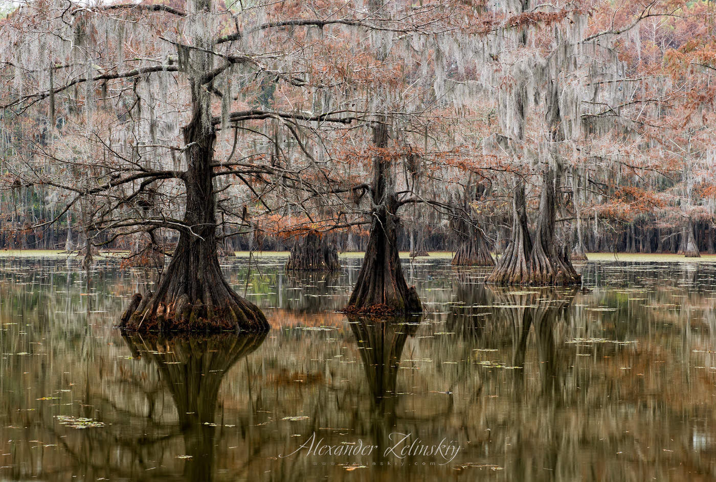 Осенний этюд