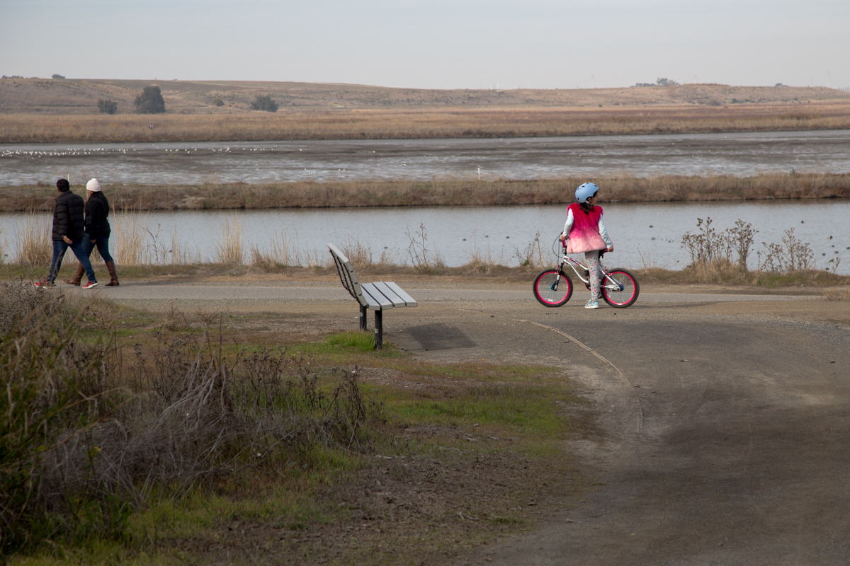 Скромное обаяние декабря