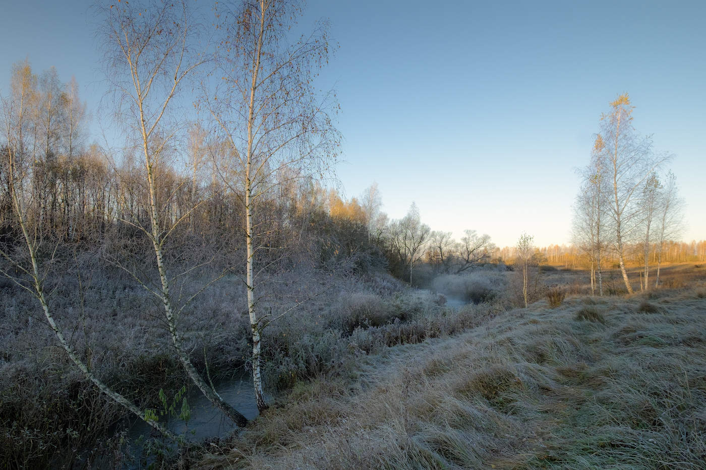 Три березки