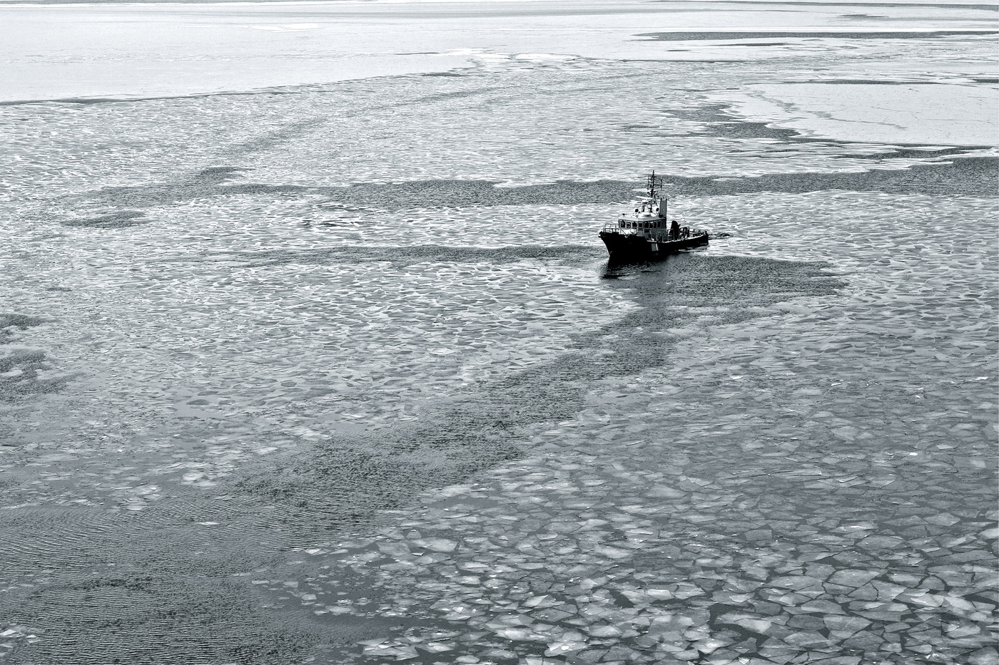 Пограничник