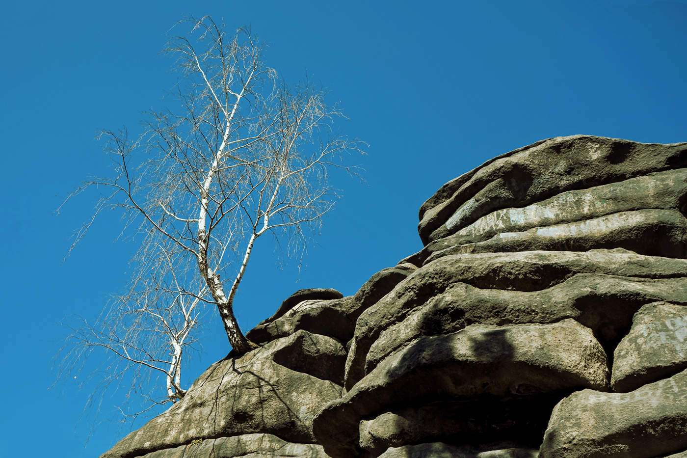 Жажда жизни.