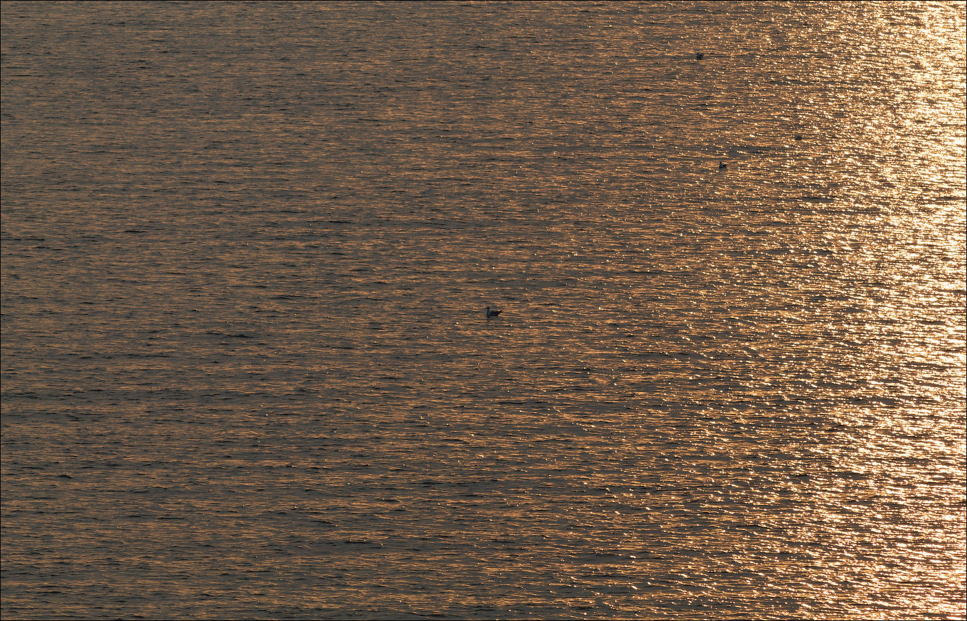 Блики на воде