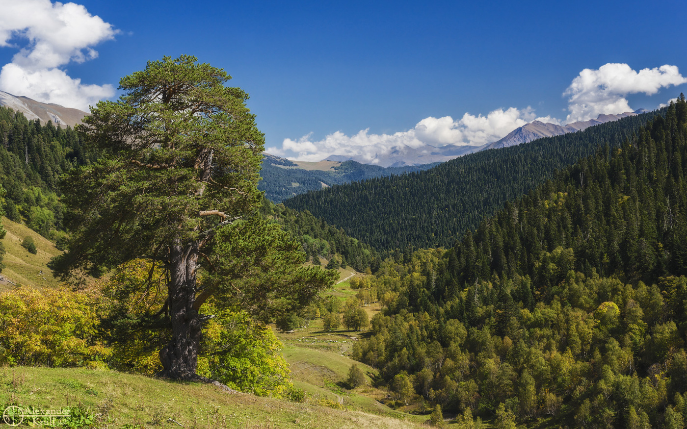 Погожим днем в окрестностях Архыза...