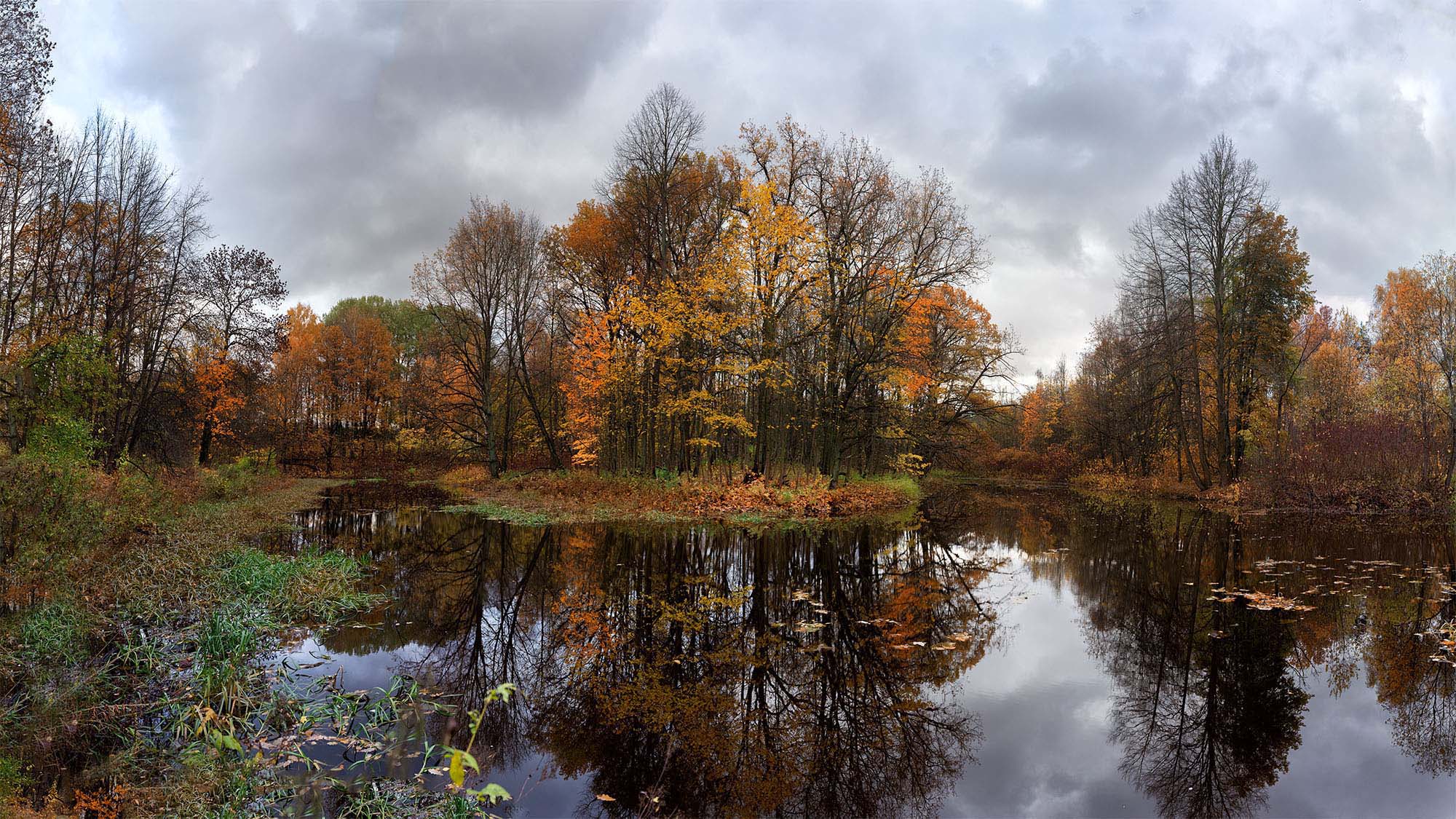 Лесное озеро...