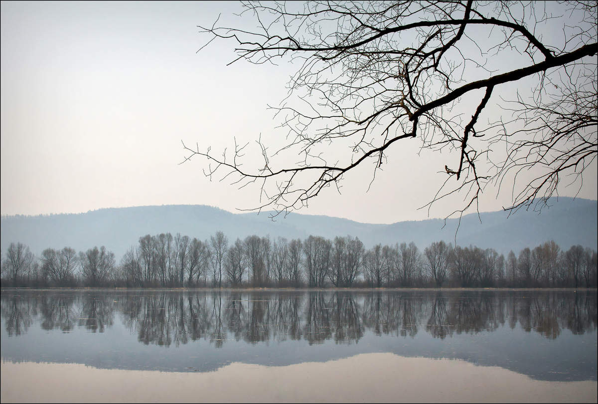 Апрельский дзен.