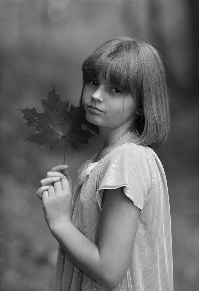 Кленовый лист