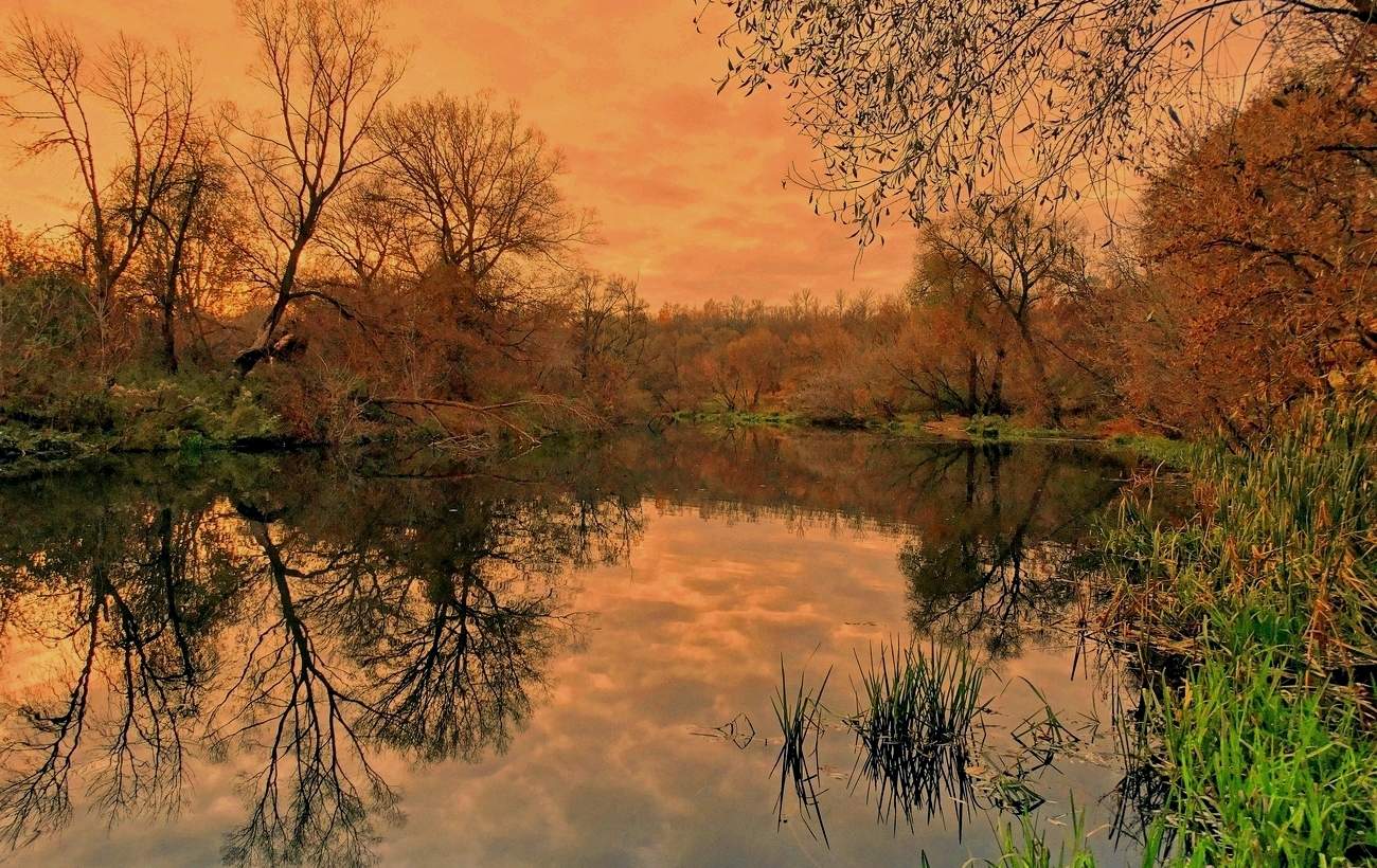 Осенняя река, осенние берега