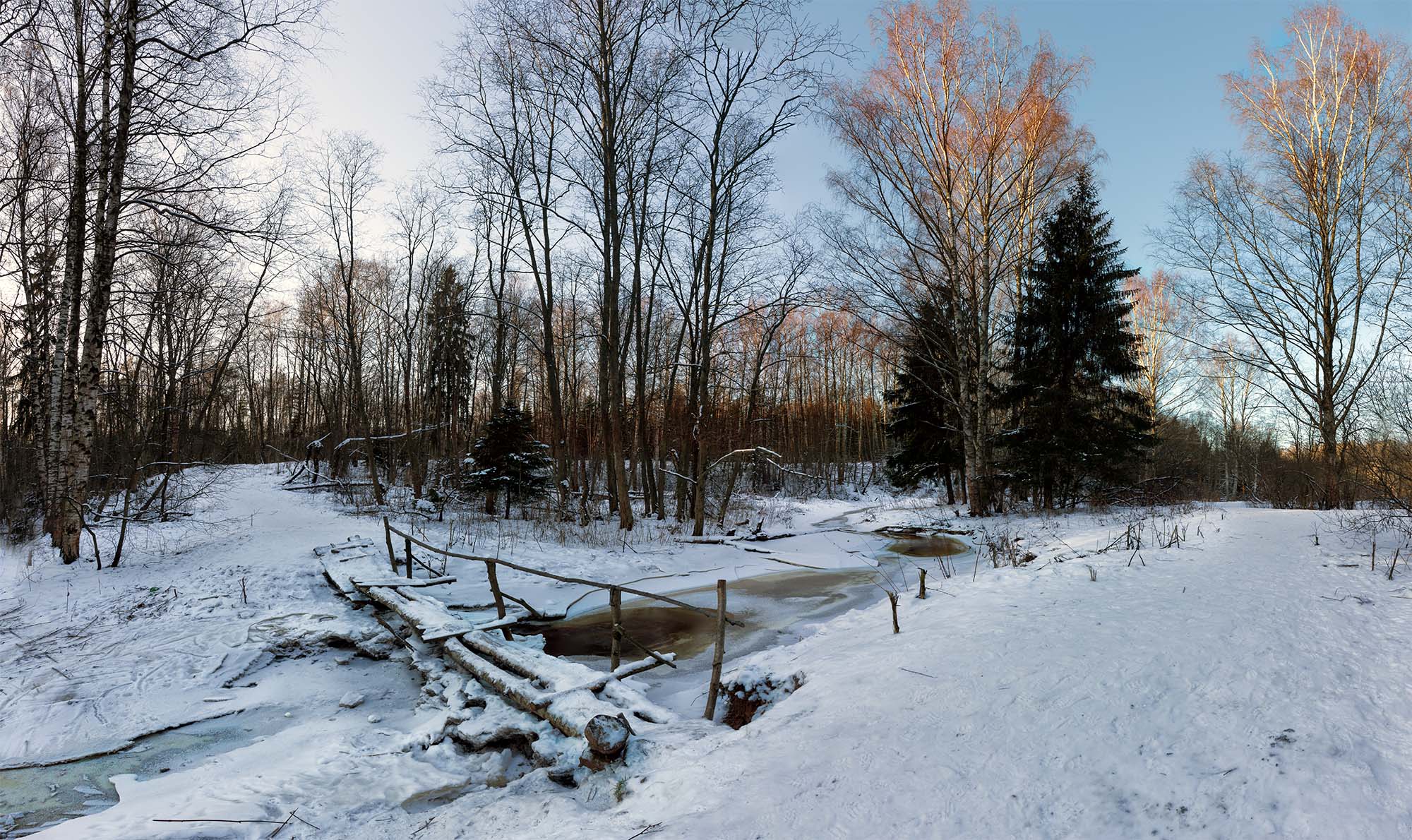 Зима .Январь..