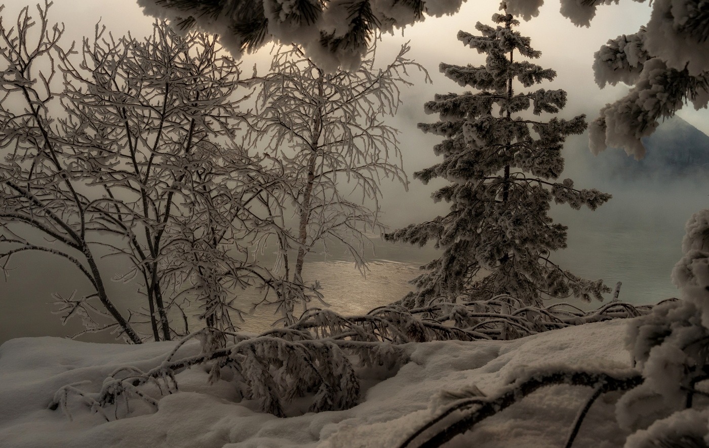 Сказка зимнего леса.