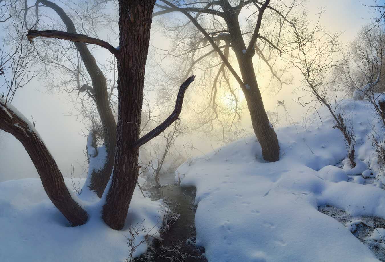 Зимнее утро