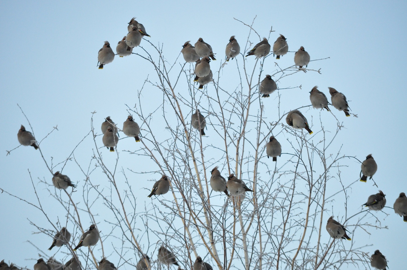 С добрым утром