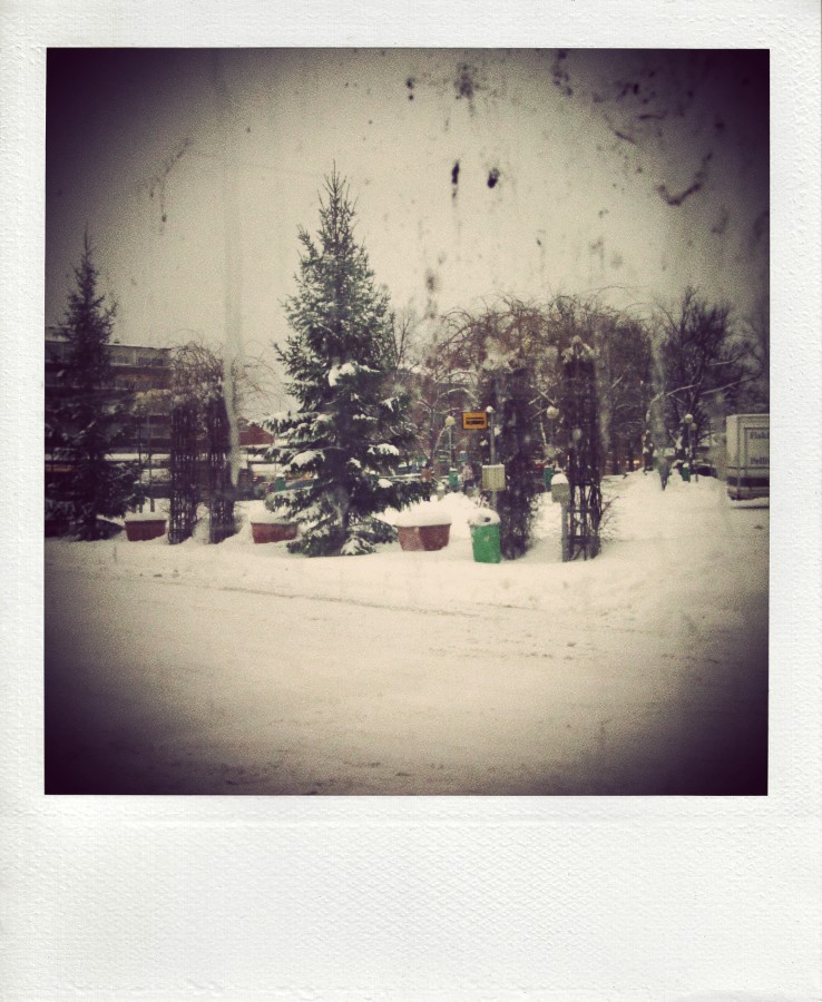 Прощание с новогодней елкой