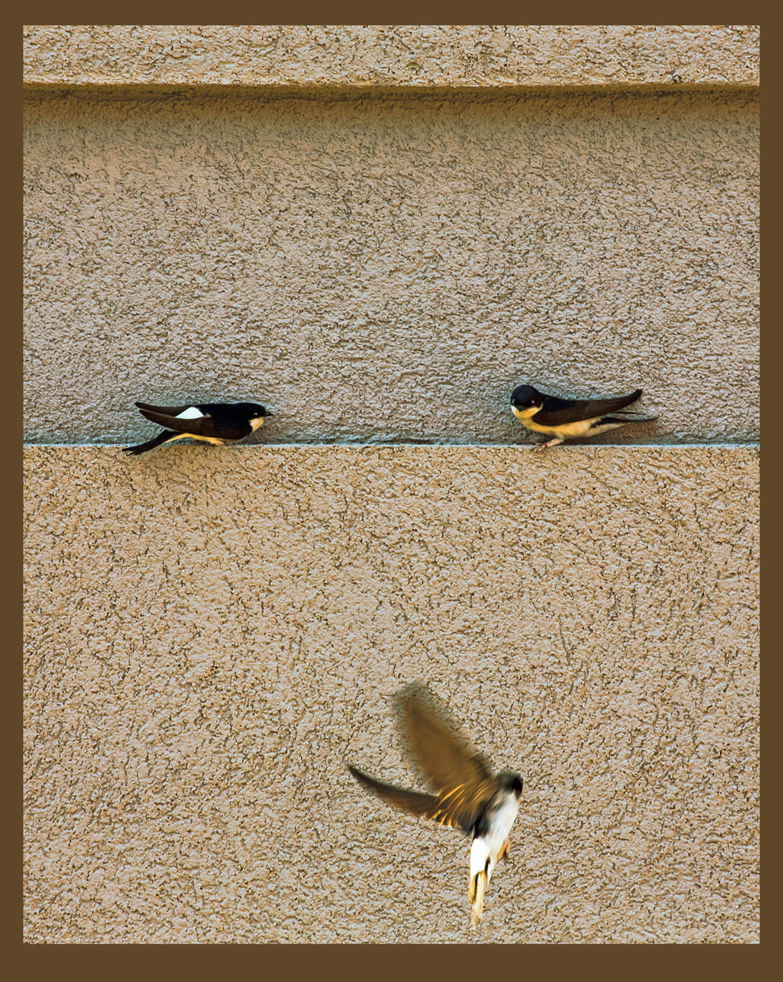 Кадр решает все