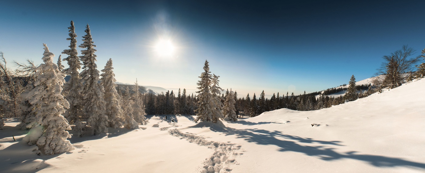 У Подножия г.Большой Уван