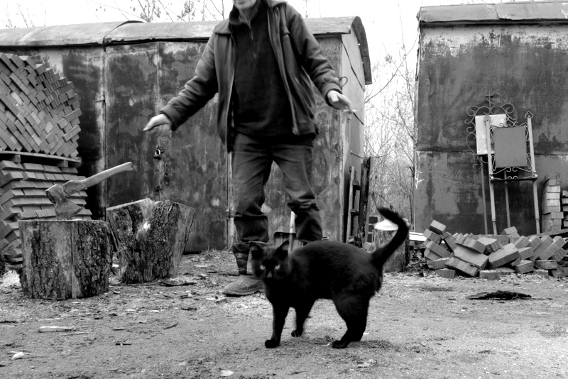 Кадр решает все