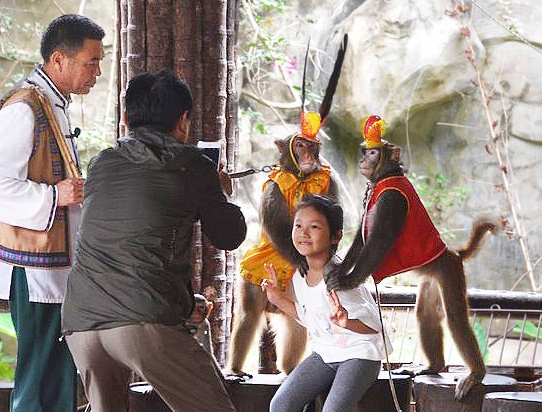 Кадр решает все