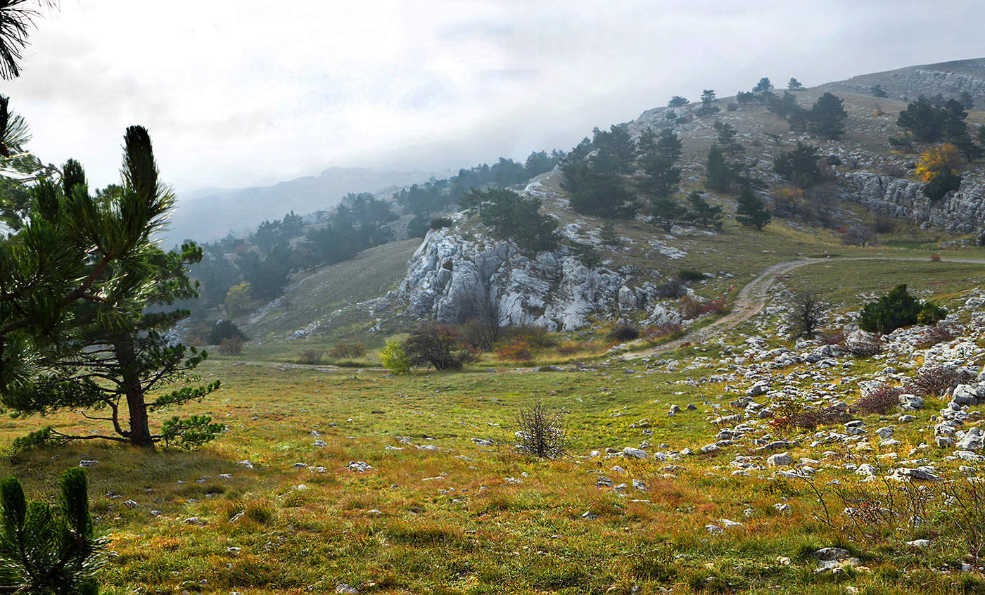 Плато Ай Петри.