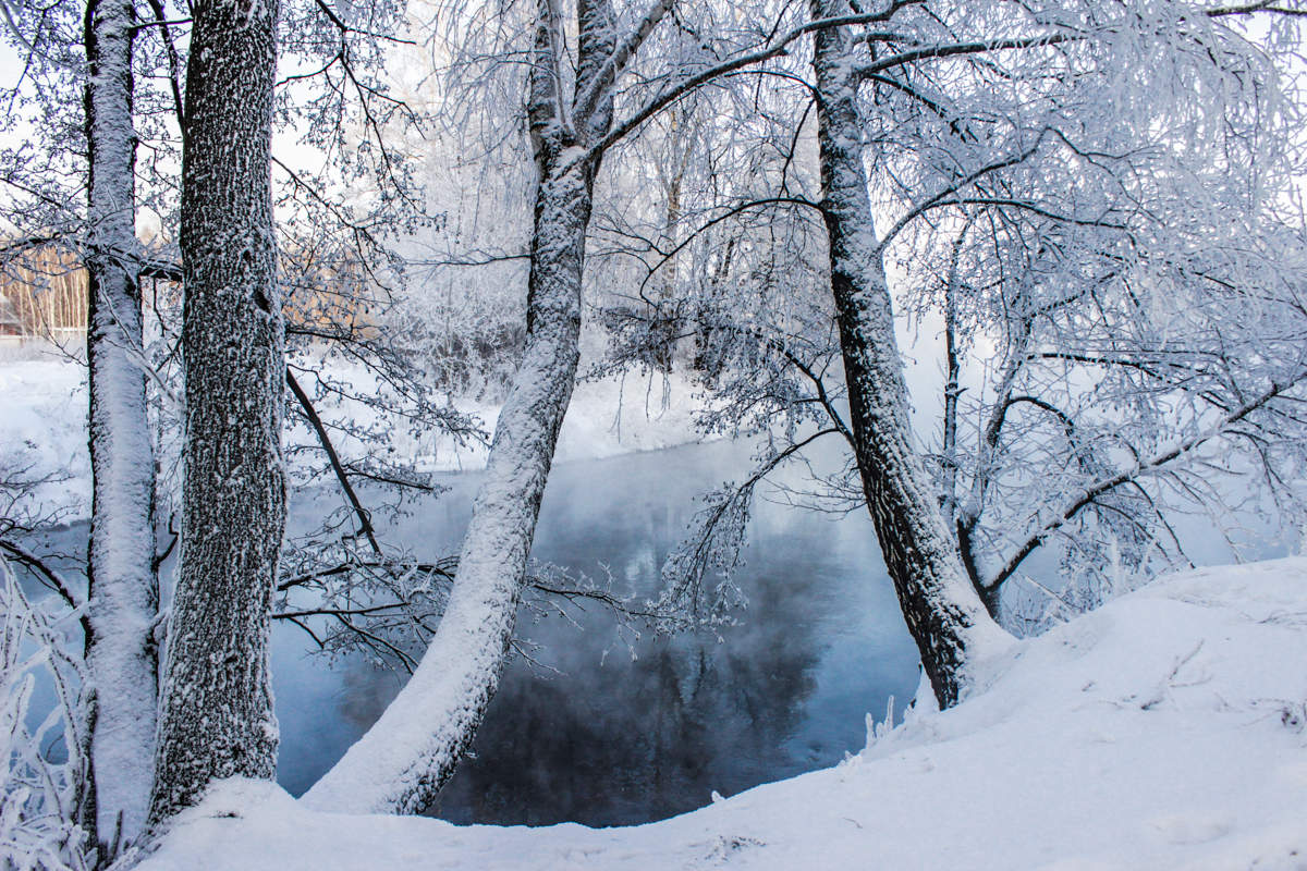 зимнеморозноснежное