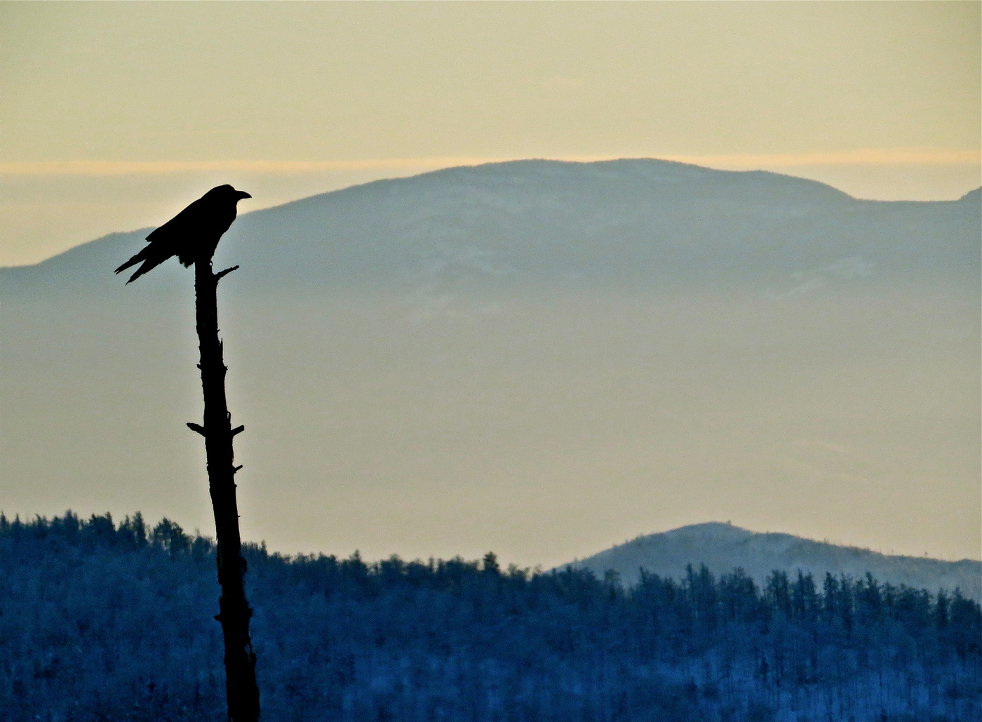 Саяны. Горный Страж