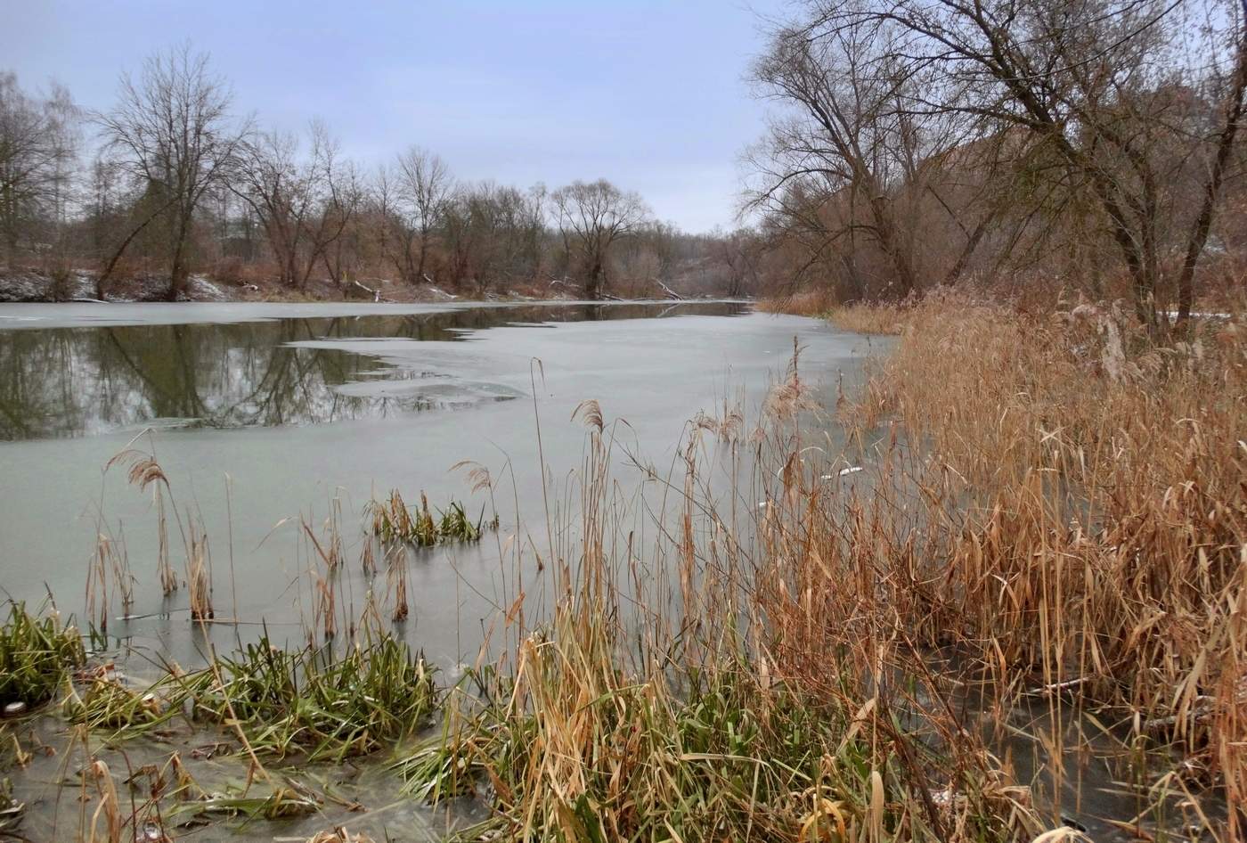 Тонкий январский лёд