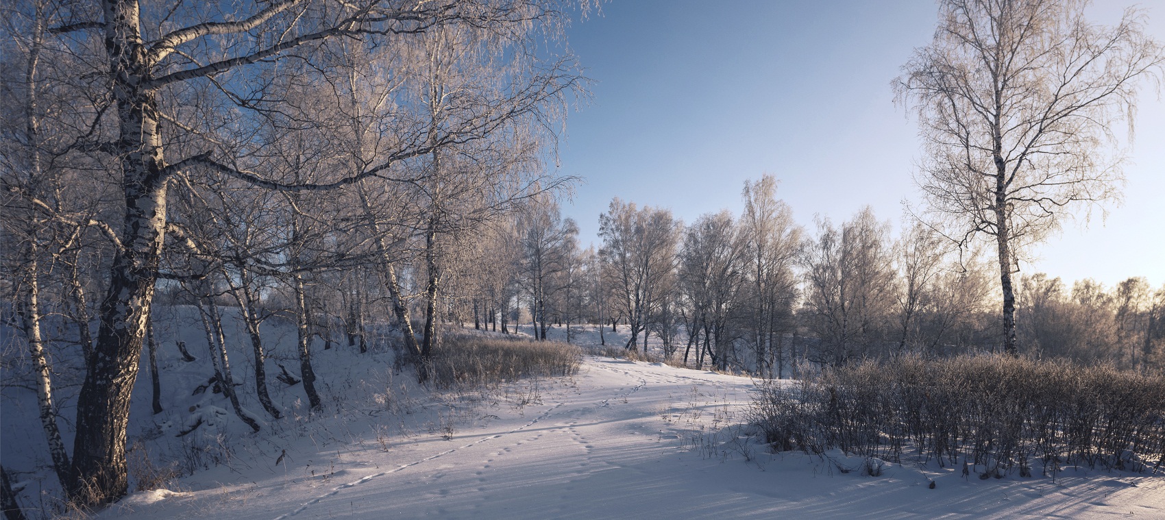 Солнечным днем.