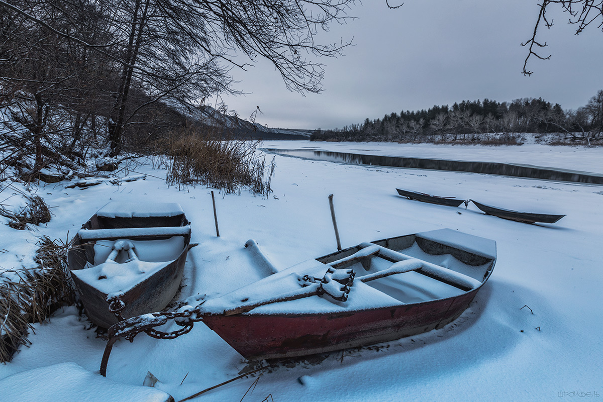 В зимней спячке