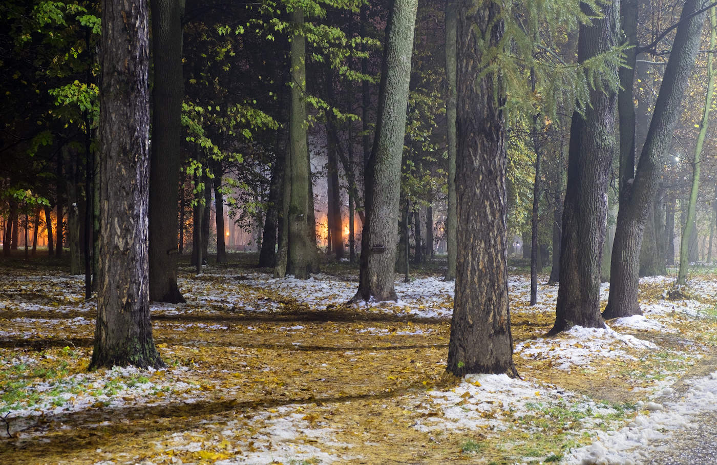 Огни сквозь туман